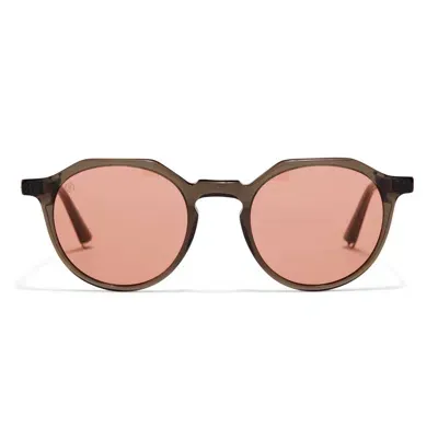 Taylor Morris Eyewear Oxford Sunglasses In Brown