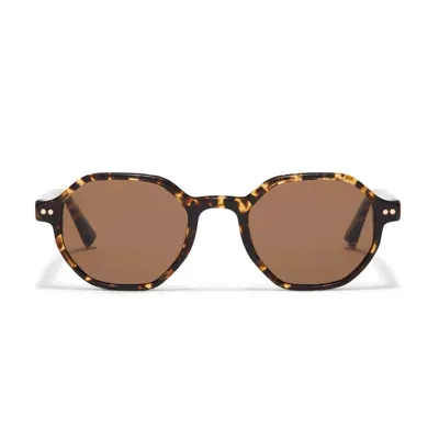 Taylor Morris Eyewear Pelican In Brown