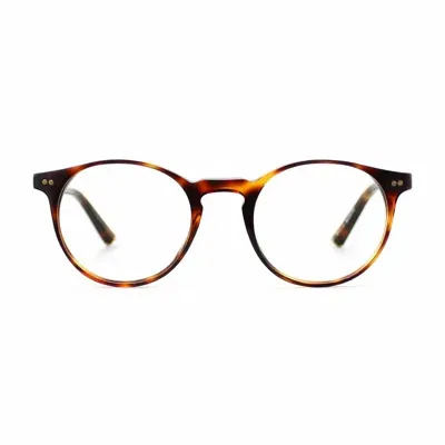 Taylor Morris Eyewear Sw17 C2 Glasses In Brown