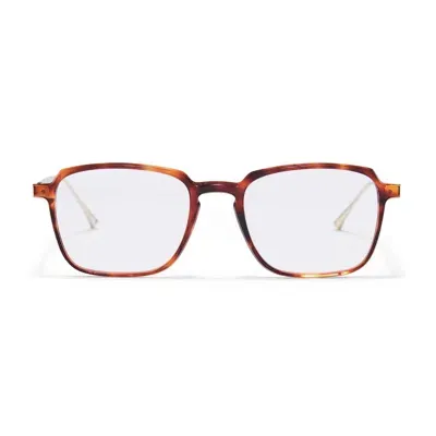 Taylor Morris Eyewear Sw3 C7 Glasses In Brown