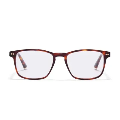 Taylor Morris Eyewear Tm015-c2 In Brown