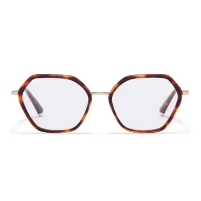 Taylor Morris Eyewear Tm023-c4 In Brown