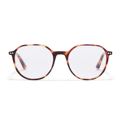 Taylor Morris Eyewear Tm027-c3 In Brown