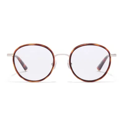 Taylor Morris Eyewear Tm028-c4 In Brown