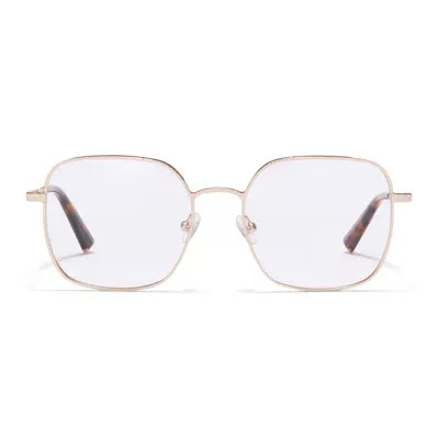 Taylor Morris Eyewear Tm029-c2 In Gold