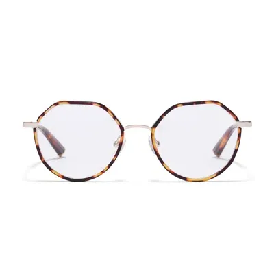 Taylor Morris Eyewear Tm030-c4 In Brown