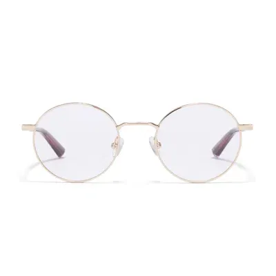 Taylor Morris Eyewear Tm036-c2 In Gold