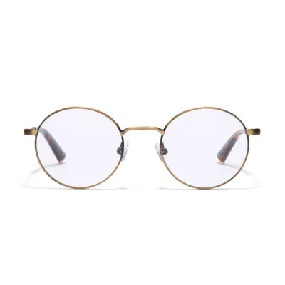 Taylor Morris Eyewear Tm036-c4 In Gold