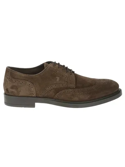 Tod's Bucature Perforated Derby Shoes Tods In Brown