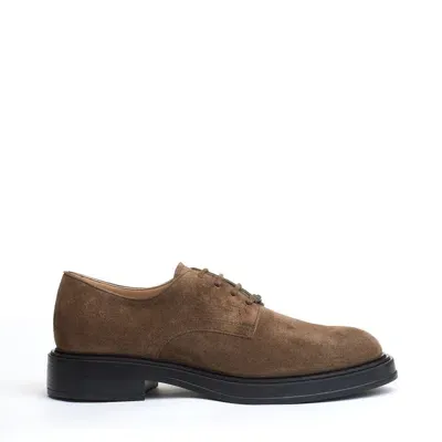 Tod's Suede Leather Lace-up Shoes In Brown