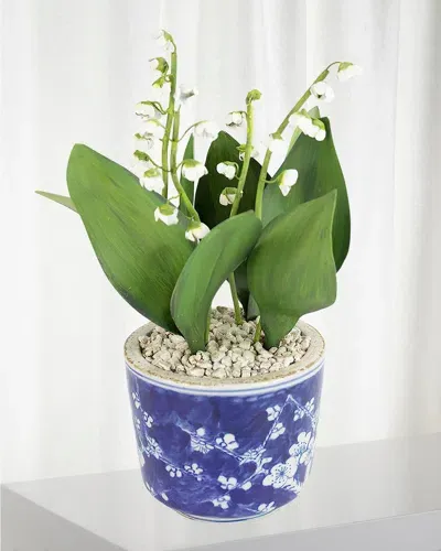 Tommy Mitchell Lily Of The Valley May Birth Flower In Ceramic Pot In White