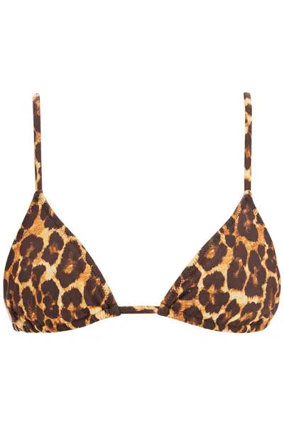 Tropic Of C Equator Bikini Top In Brown