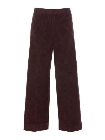 True Avenue Trousers In Brown