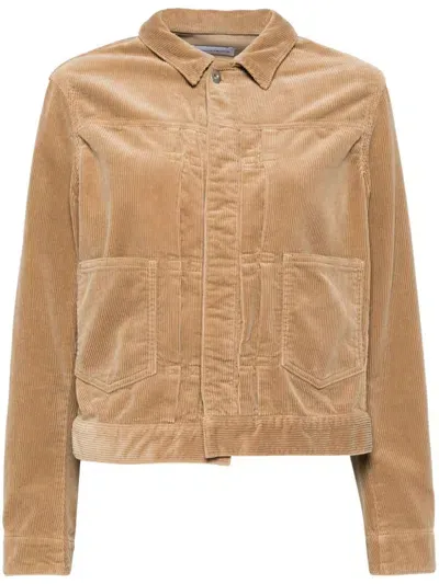 Tu Es Mon Tresor The Emerald Corduroy Jacket In Brown