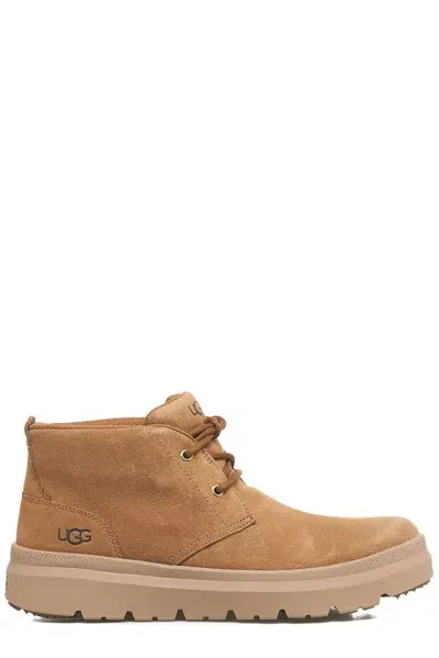 Ugg Burleigh Chukka Sneakers In Brown