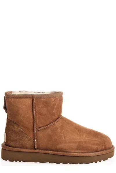 Ugg Classic Mini Boots In Brown