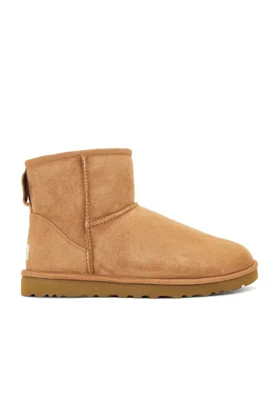 Ugg Suede Mini Boots In Brown