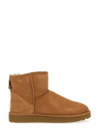 Ugg Classic Mini Ii Shoe In Brown