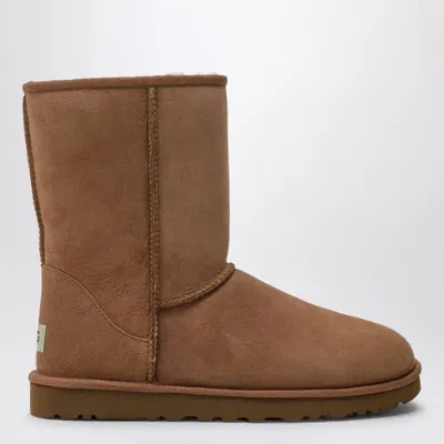 Ugg Classic Short Boot Chestnut In Brown