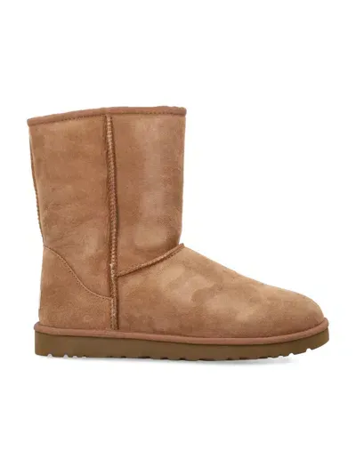 Ugg Classic Short Boots In Brown