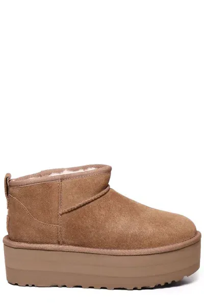 Ugg Classic Ultra Mini Platform Boots In Brown