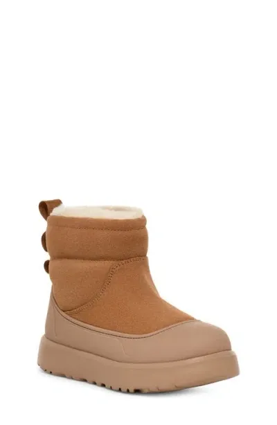 Ugg(r) Kids' Classic Mini Mond Waterproof Boot In Chestnut