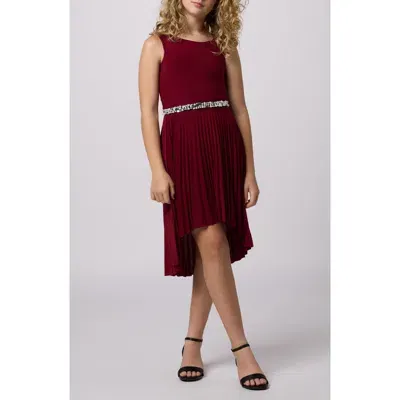 Un Deux Trois Kids' Pleated High-low Party Dress In Burgundy