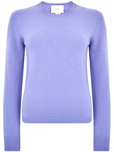 Vanisé Vanise Sweaters Blue