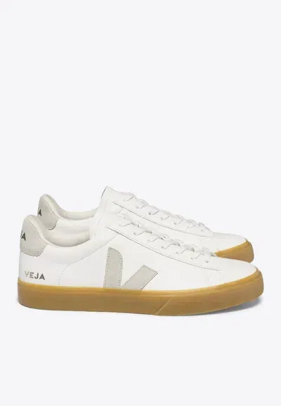 Veja Campo Sneaker In White