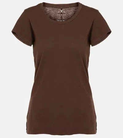 Velvet Odelia Cotton Jersey T-shirt In Brown