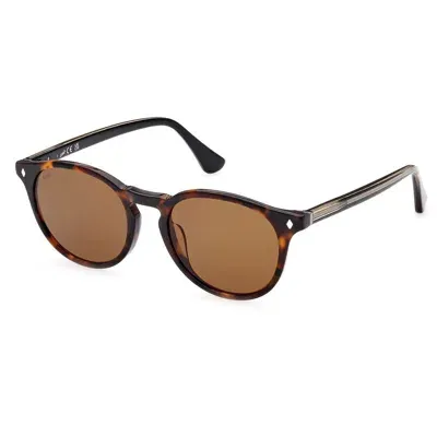 Web Eyewear Sunglasses In Brown