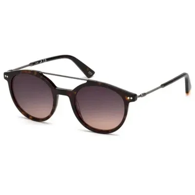 Web Eyewear Sunglasses In Brown