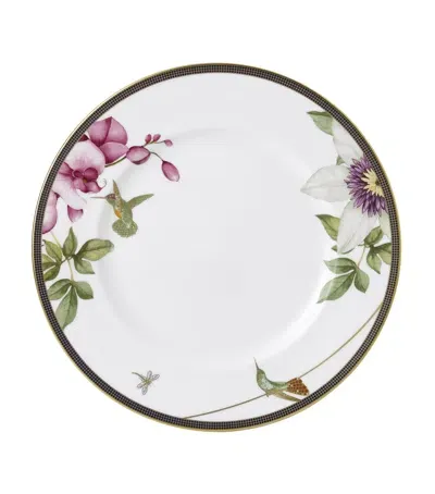 Wedgwood Hummingbird Dinner Plate In Multi