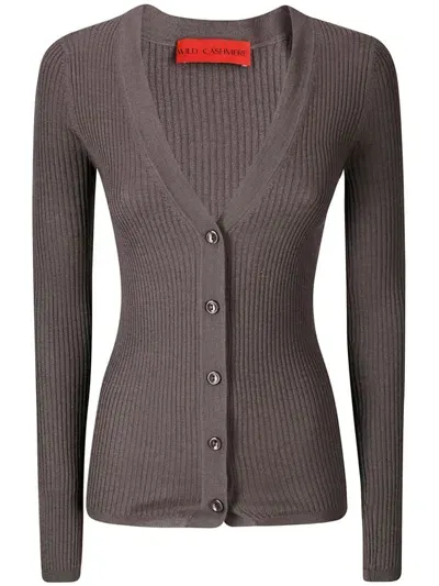 Wild Cashmere V-neck Cardigan In Brown