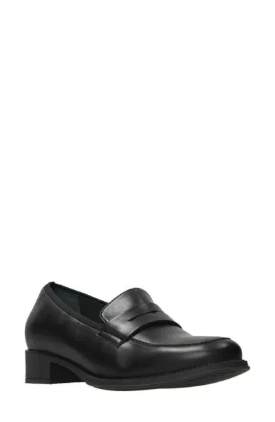 Wolky Alabama Penny Loafer In Black