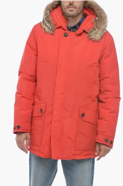 Woolrich Daytona Parka Jacket With Real Coyote Fur In Red