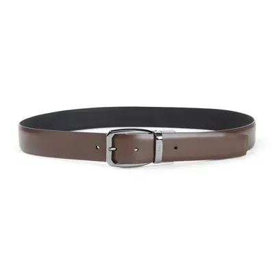 Zegna Belt In Brown