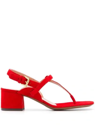 L'autre Chose T-bar Sandal In Red