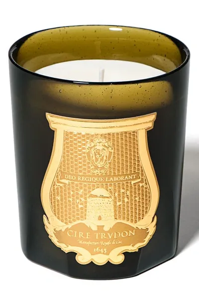 Cire Trudon Trudon Ernesto Leather And Tobacco Candle In Green