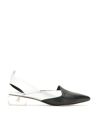 Studio Chofakian Pointed Toe Ballerinas In Black