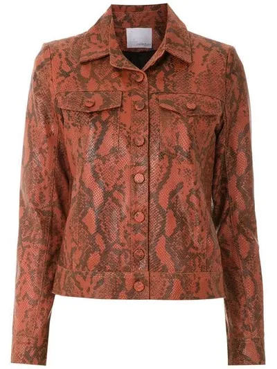 Nk Lederjacke Mit Animal-print In Brown