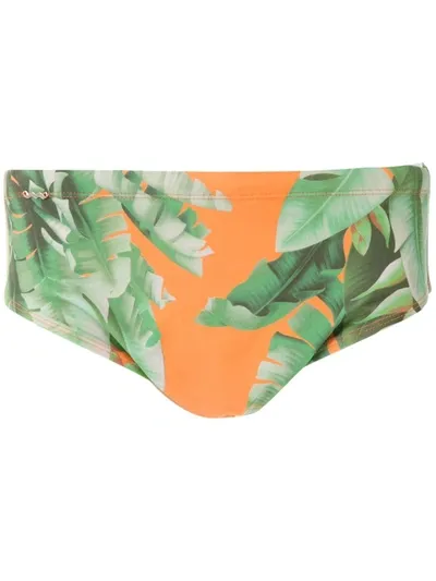 Amir Slama Printed Trunks In Orange