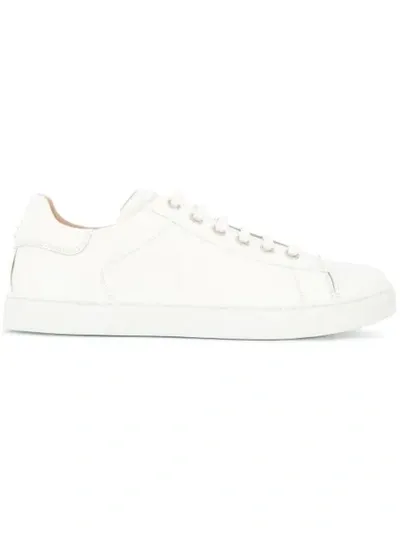 Gianvito Rossi Low Top Sneakers In White