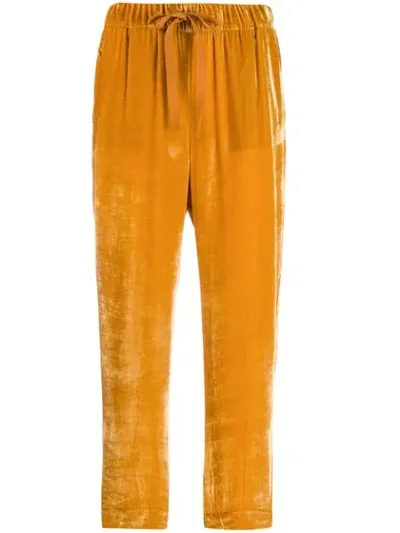 Semicouture Velvet Cropped Trousers In Yellow