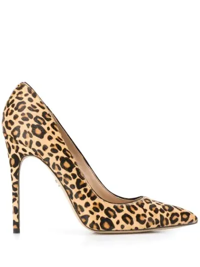 Sam Edelman Sesdanna Pumps In Brown