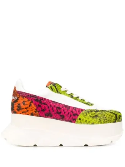 Joshua Sanders Neon Snake Print Sneakers In Pink