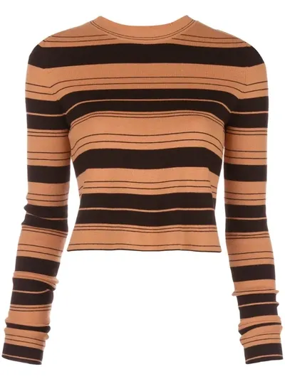 Proenza Schouler White Label Compact Striped Cropped Crewneck Pullover In Brown