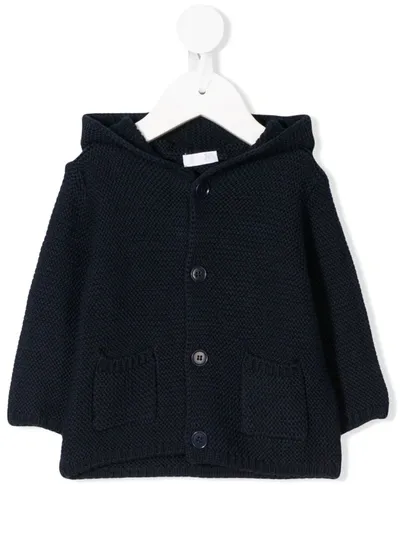 Il Gufo Babies' Hooded Knitted Cardigan In Blue