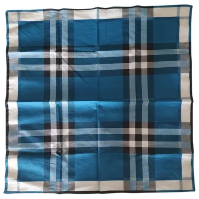 Pre-owned Burberry Scarf & Pocket Square In Blue