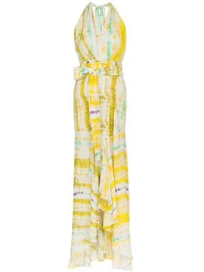 Silvia Tcherassi Ardell Sleeveless V-neck Maxi Dress In Yellow